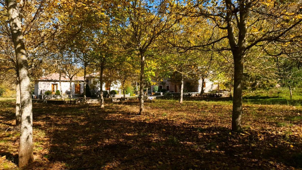 Andrea Sofi Guesthouse Dimitsana Exteriér fotografie