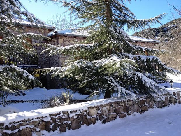 Andrea Sofi Guesthouse Dimitsana Exteriér fotografie