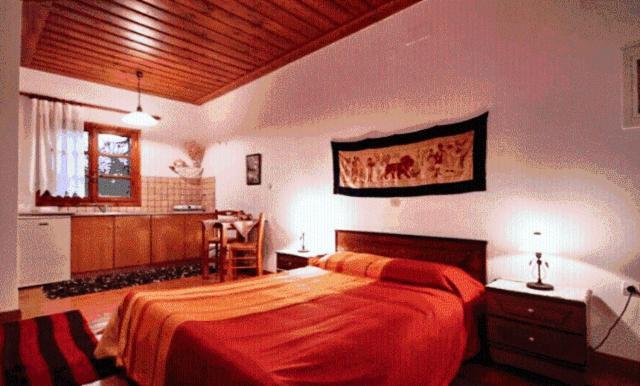 Andrea Sofi Guesthouse Dimitsana Exteriér fotografie