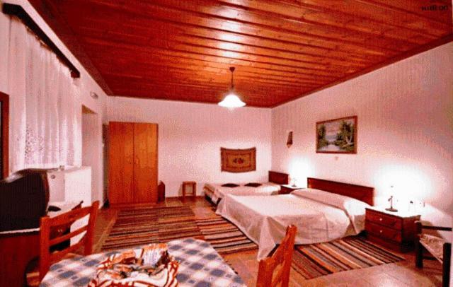 Andrea Sofi Guesthouse Dimitsana Exteriér fotografie