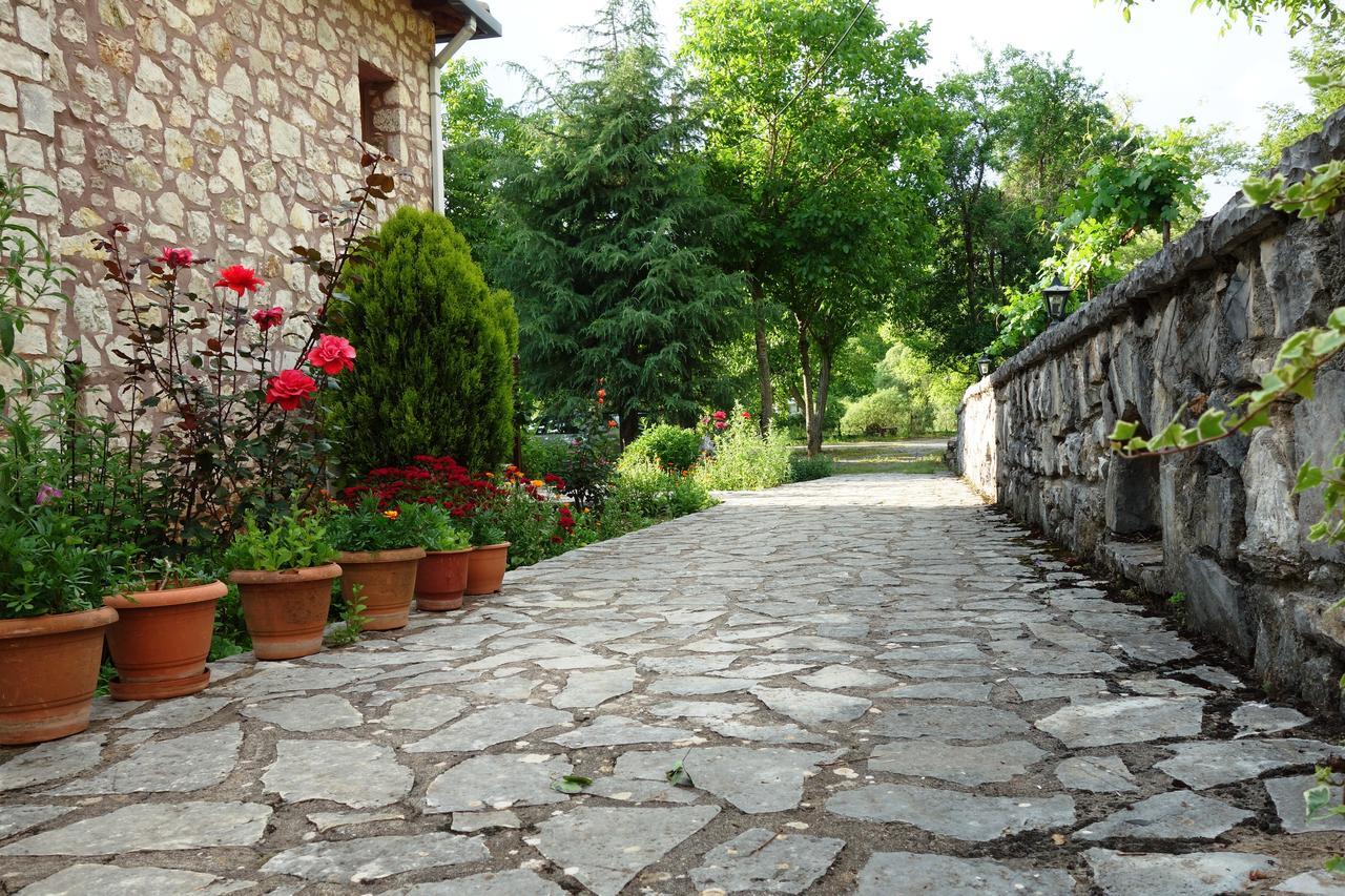 Andrea Sofi Guesthouse Dimitsana Exteriér fotografie